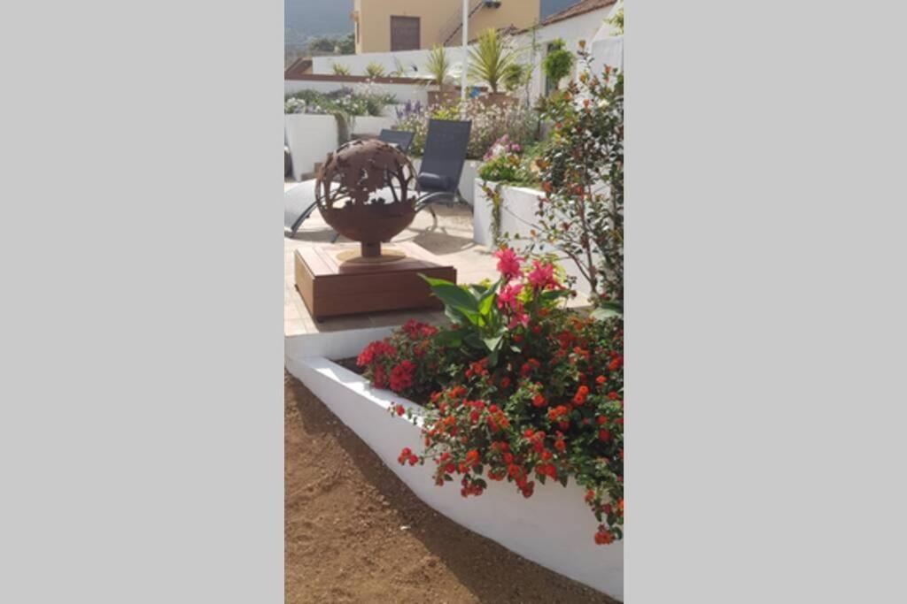 Casa Vina: A Spectacular Away From It All Holiday La Orotava Buitenkant foto