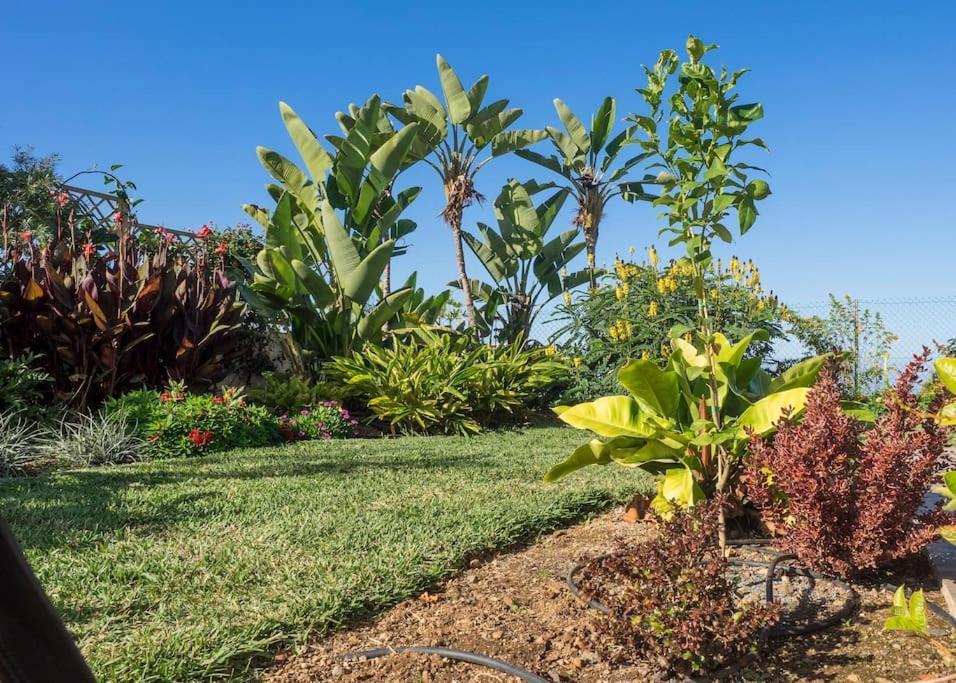 Casa Vina: A Spectacular Away From It All Holiday La Orotava Buitenkant foto