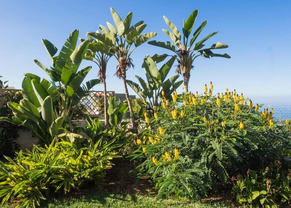 Casa Vina: A Spectacular Away From It All Holiday La Orotava Buitenkant foto