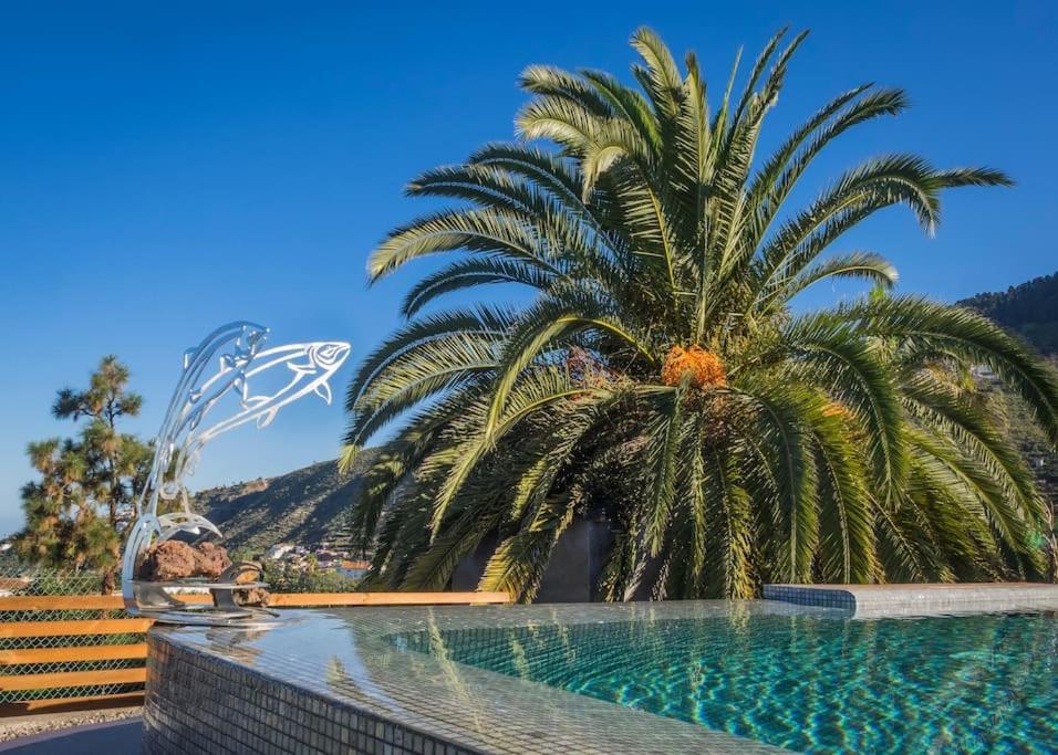 Casa Vina: A Spectacular Away From It All Holiday La Orotava Buitenkant foto
