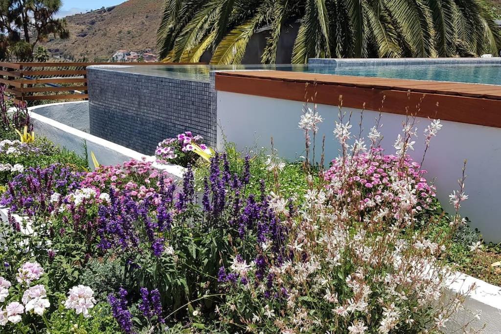 Casa Vina: A Spectacular Away From It All Holiday La Orotava Buitenkant foto